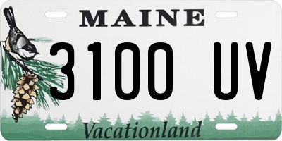 ME license plate 3100UV