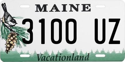 ME license plate 3100UZ