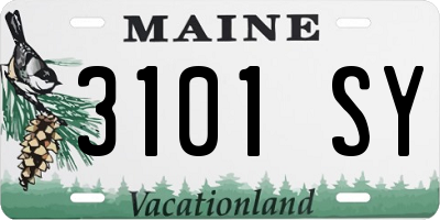 ME license plate 3101SY