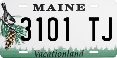 ME license plate 3101TJ