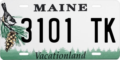 ME license plate 3101TK
