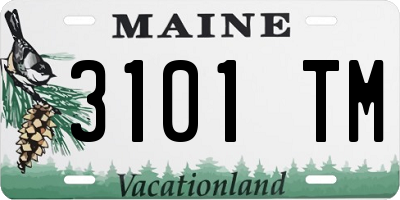 ME license plate 3101TM