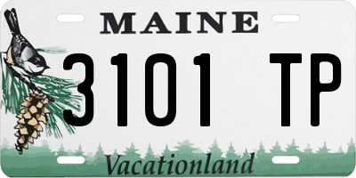 ME license plate 3101TP