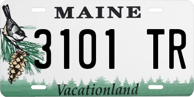 ME license plate 3101TR