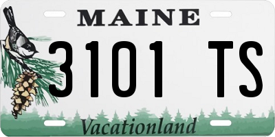 ME license plate 3101TS