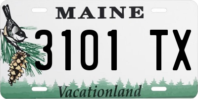 ME license plate 3101TX