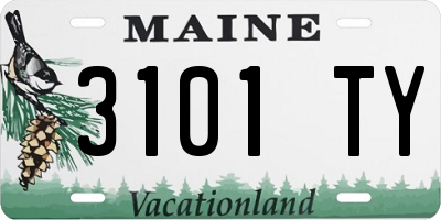 ME license plate 3101TY