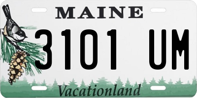 ME license plate 3101UM