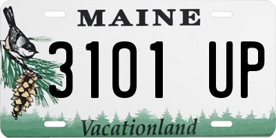 ME license plate 3101UP