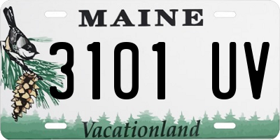 ME license plate 3101UV