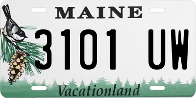 ME license plate 3101UW