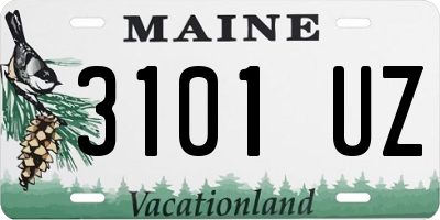 ME license plate 3101UZ