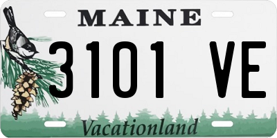 ME license plate 3101VE