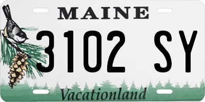ME license plate 3102SY