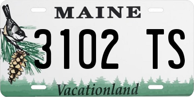 ME license plate 3102TS