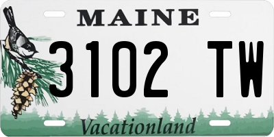 ME license plate 3102TW