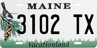 ME license plate 3102TX