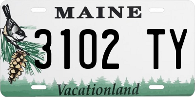 ME license plate 3102TY