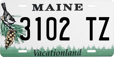 ME license plate 3102TZ