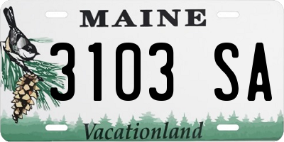 ME license plate 3103SA