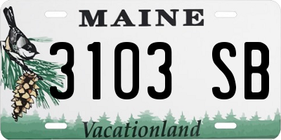 ME license plate 3103SB