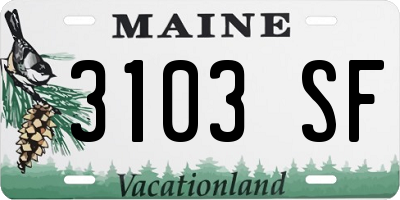 ME license plate 3103SF