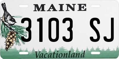 ME license plate 3103SJ