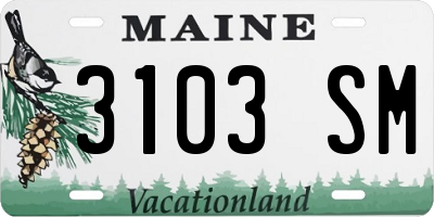 ME license plate 3103SM