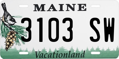 ME license plate 3103SW
