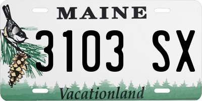ME license plate 3103SX