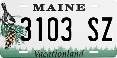 ME license plate 3103SZ