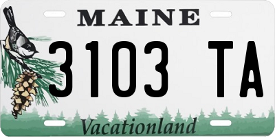 ME license plate 3103TA