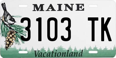 ME license plate 3103TK
