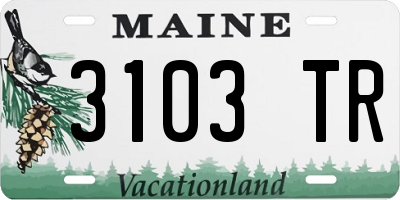 ME license plate 3103TR