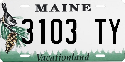 ME license plate 3103TY