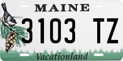 ME license plate 3103TZ