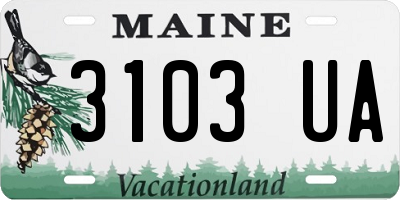 ME license plate 3103UA