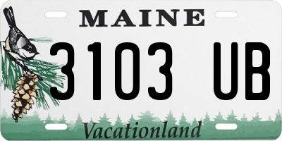 ME license plate 3103UB