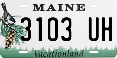 ME license plate 3103UH