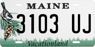 ME license plate 3103UJ
