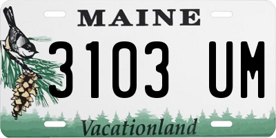 ME license plate 3103UM
