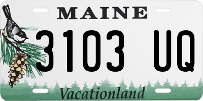 ME license plate 3103UQ