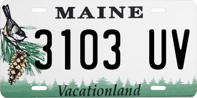 ME license plate 3103UV