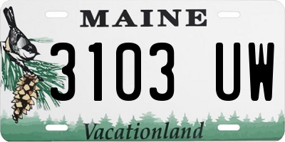 ME license plate 3103UW