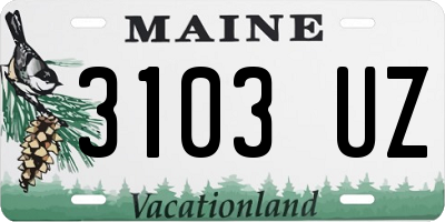 ME license plate 3103UZ