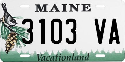 ME license plate 3103VA