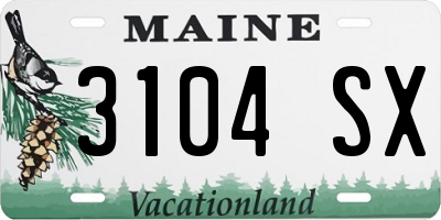 ME license plate 3104SX