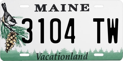 ME license plate 3104TW