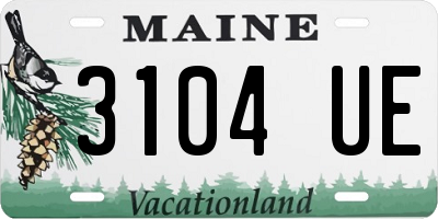 ME license plate 3104UE