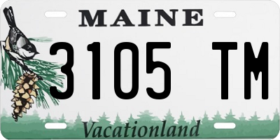 ME license plate 3105TM